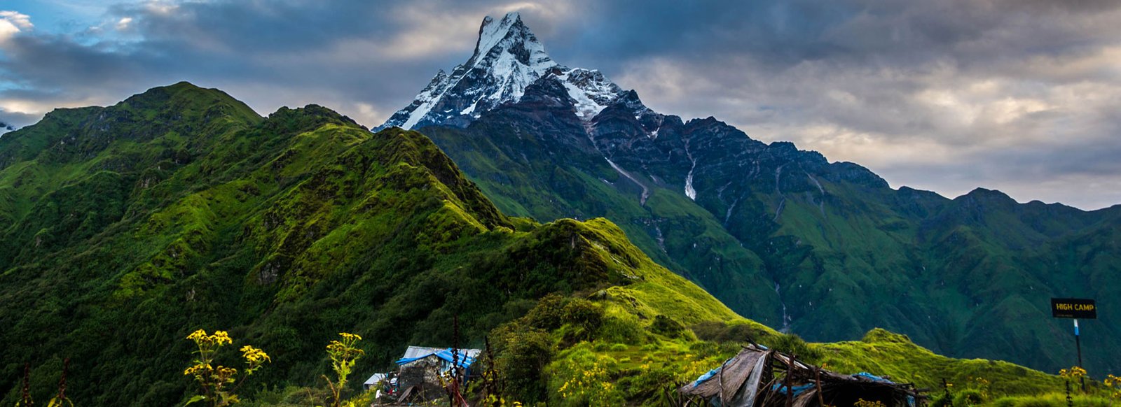 Mardi Himal Trek